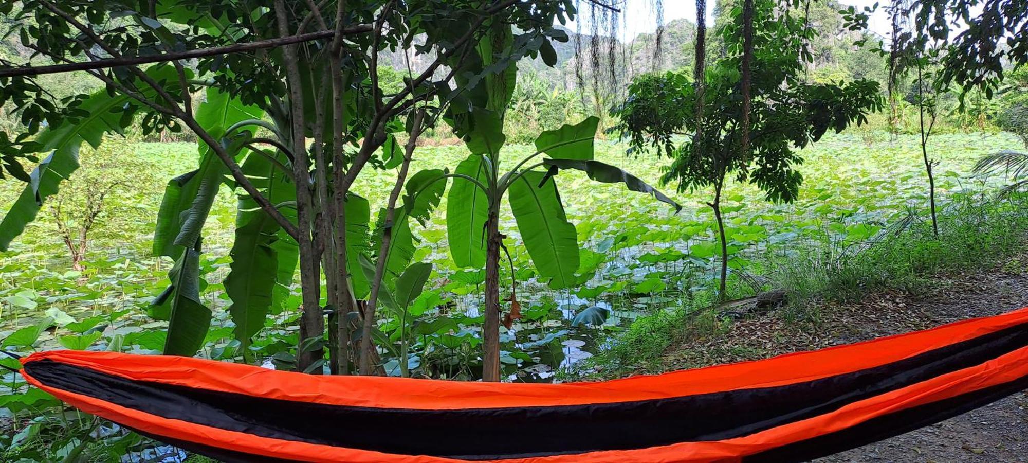 Thung Sen Tam Coc Chalets Ниньбинь Экстерьер фото